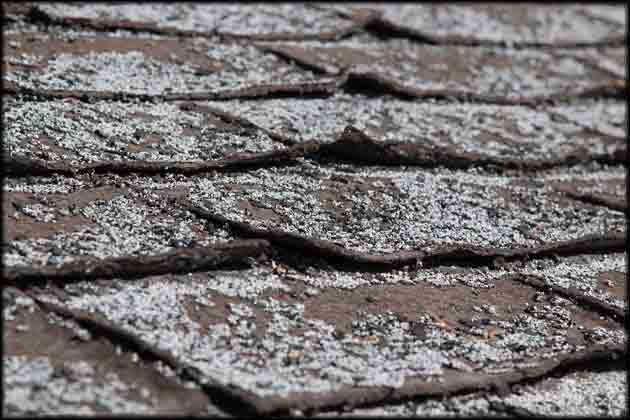 Fiberglass-Shingle-Burn-Out